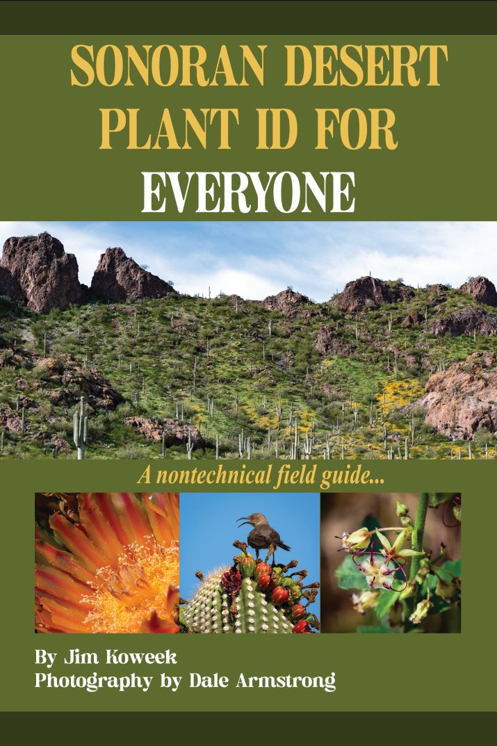 Sonoran Desert Plant ID for Everyone