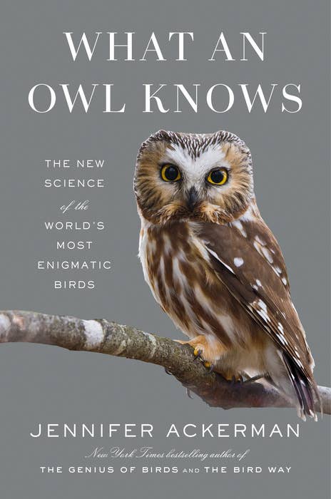 What An Owl Knows - Hardcover