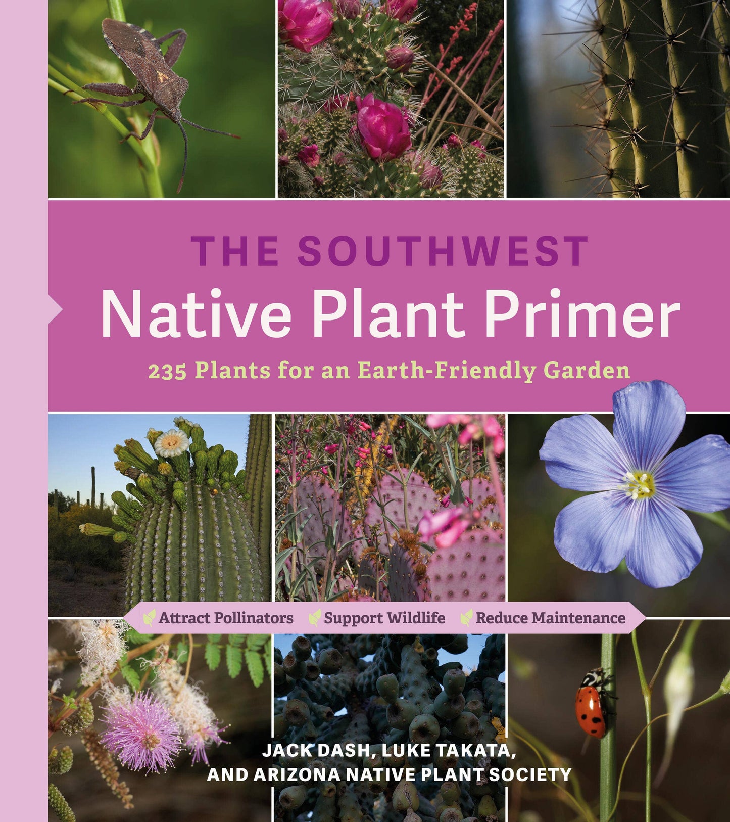 Southwest Native Plant Primer