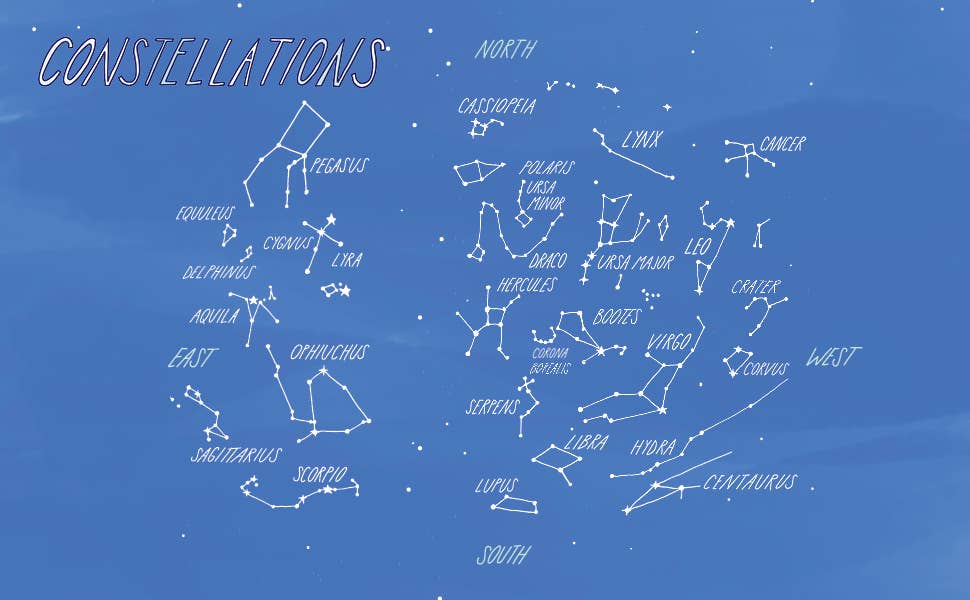 Everyday Wild - An Illustrated Guide for Mindfulness in Nature