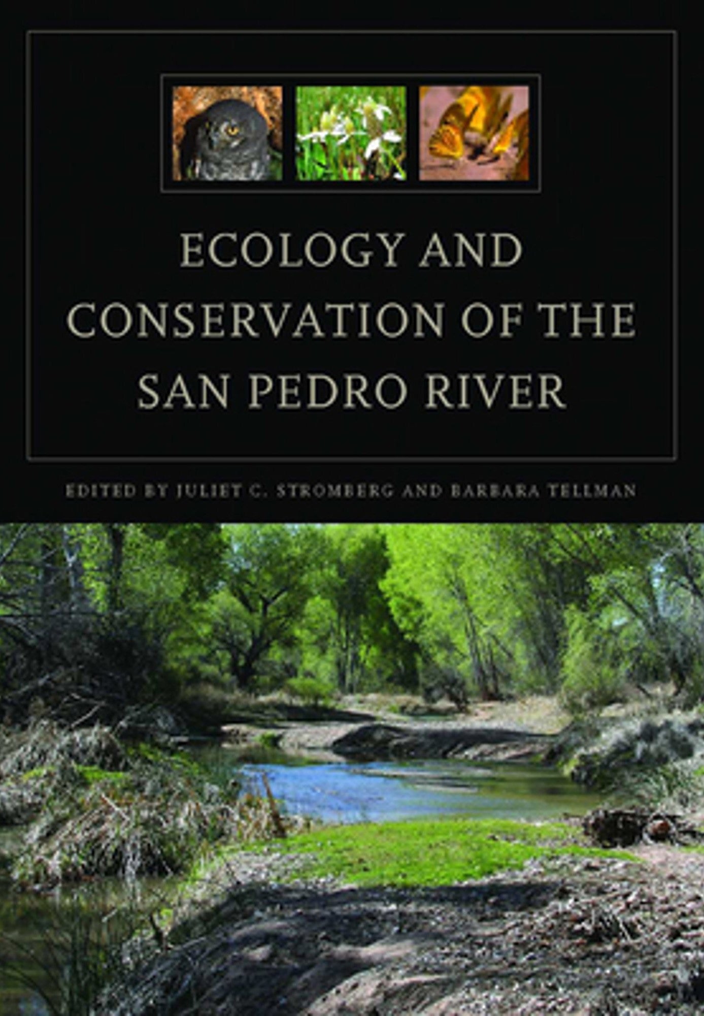 Ecology and Conservation of the  San Pedro River