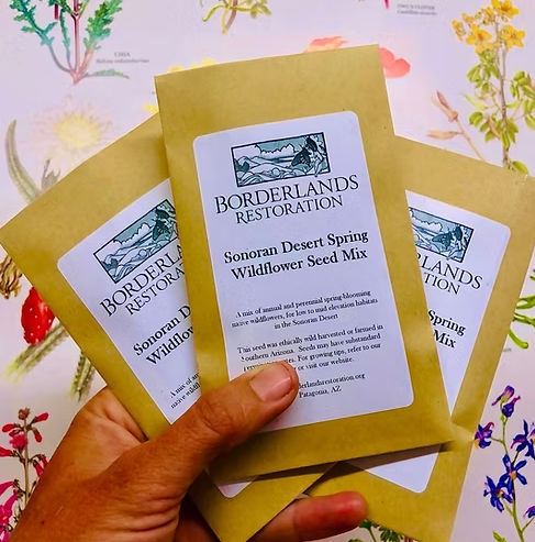 Seed Packet - Sonoran Desert Spring Wildflower Seed Mix - Borderlands Restoration Network