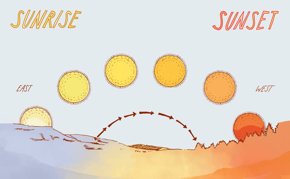 Everyday Wild - An Illustrated Guide for Mindfulness in Nature