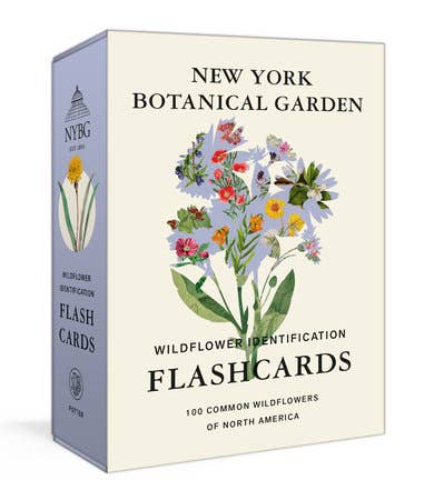 Wildflower Identification Flashcards