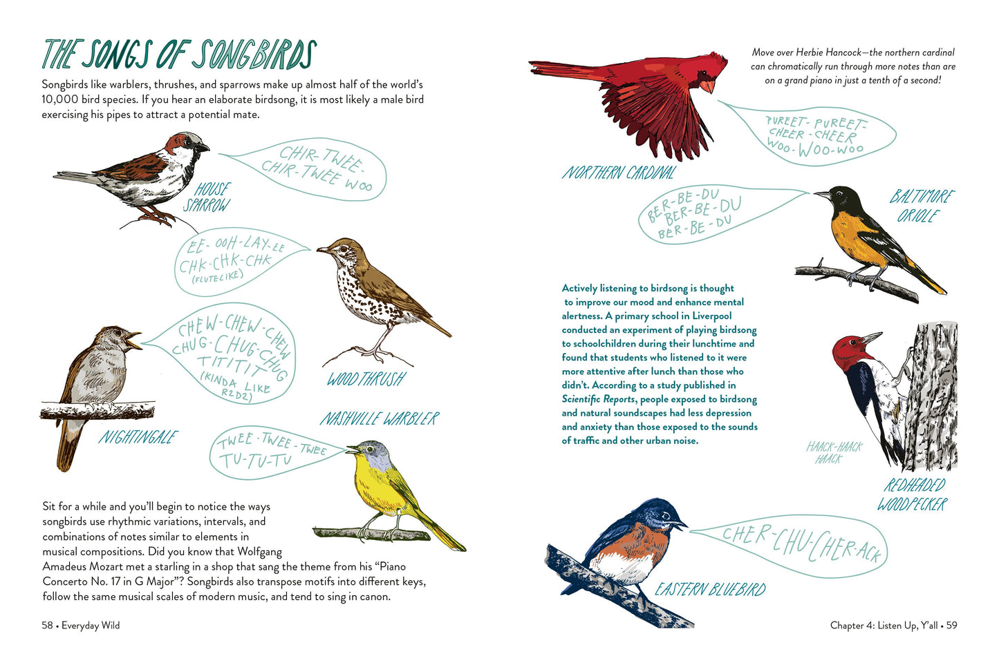 Everyday Wild - An Illustrated Guide for Mindfulness in Nature