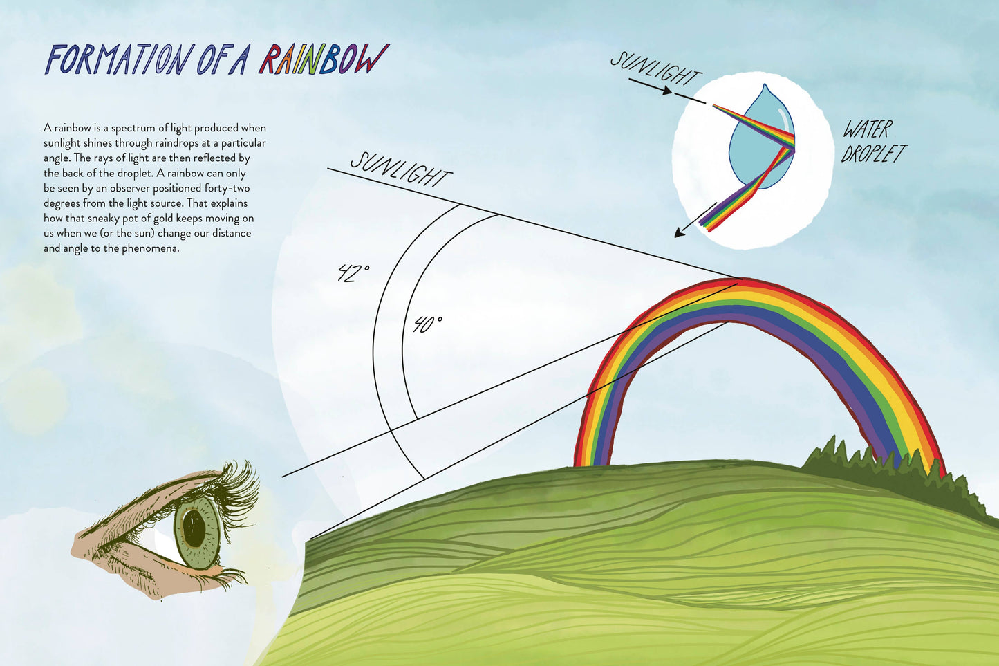 Everyday Wild - An Illustrated Guide for Mindfulness in Nature